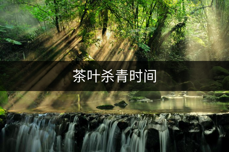 茶葉殺青時(shí)間 茶葉殺青時(shí)間