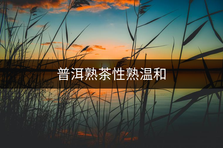 普洱熟茶性熟溫和