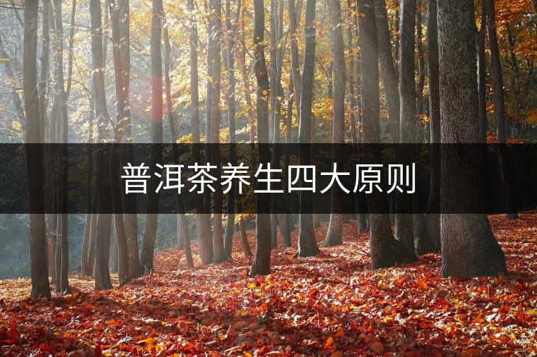 普洱茶養(yǎng)生四大原則