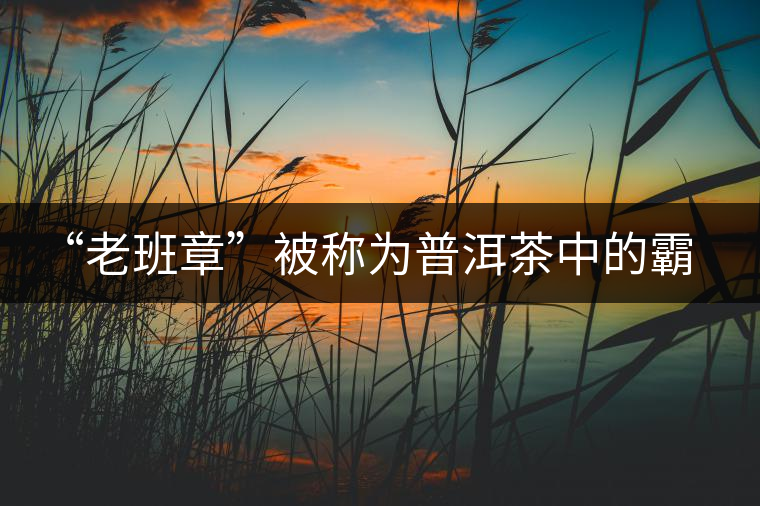 “老班章”被稱為普洱茶中的霸王 “老班章”被稱為普洱茶中的霸王