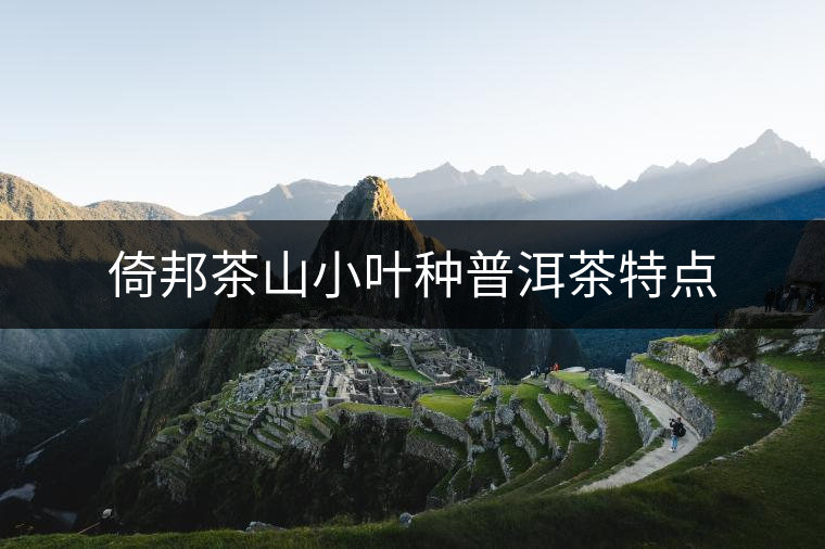倚邦茶山小葉種普洱茶特點(diǎn)