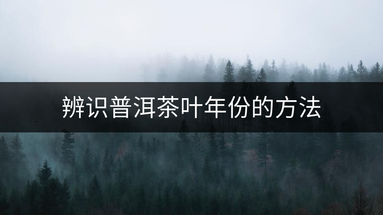 辨識普洱茶葉年份的方法 辨識普洱茶葉年份的方法