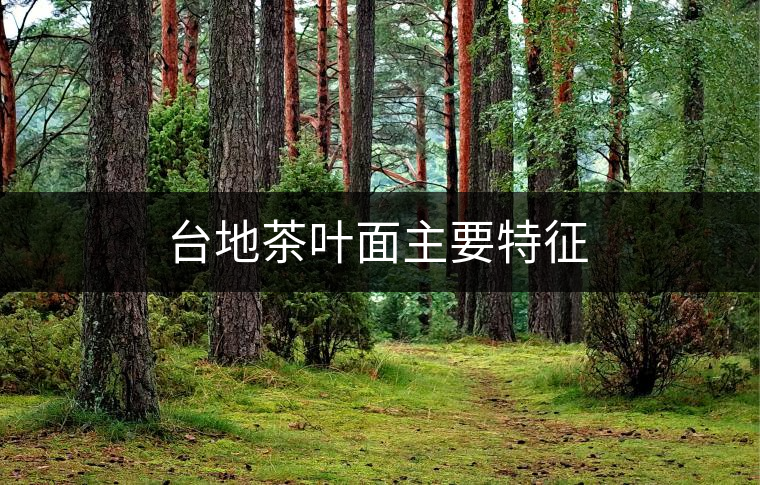 臺(tái)地茶葉面主要特征 臺(tái)地茶葉面主要特征