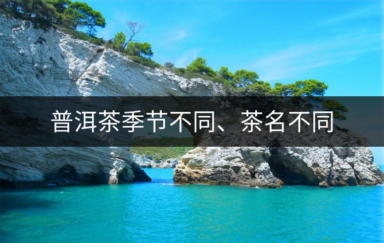 普洱茶季節(jié)不同、茶名不同