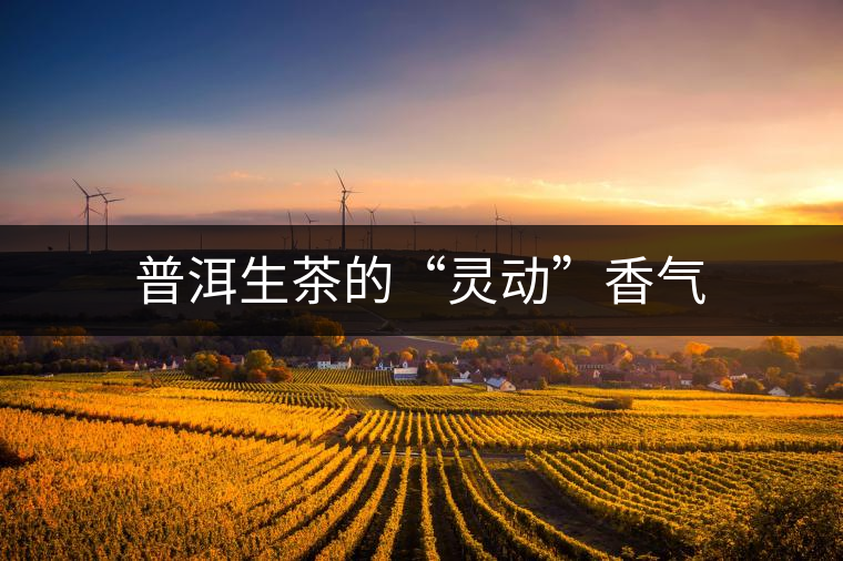 普洱生茶的“靈動(dòng)”香氣