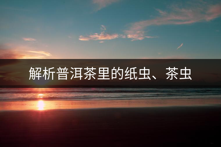 解析普洱茶里的紙蟲、茶蟲