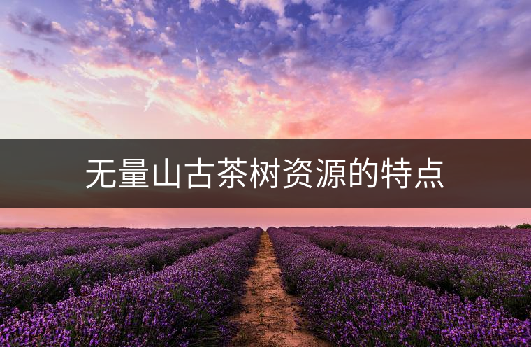 無(wú)量山古茶樹資源的特點(diǎn)