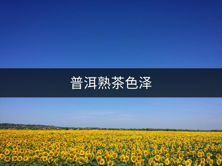 普洱熟茶色澤 普洱熟茶色澤