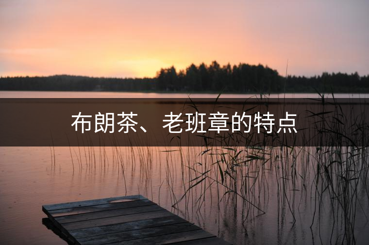 布朗茶、老班章的特點
