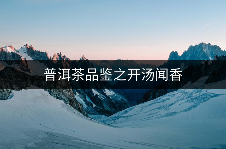 普洱茶品鑒之開(kāi)湯聞香 普洱茶品鑒之開(kāi)湯聞香