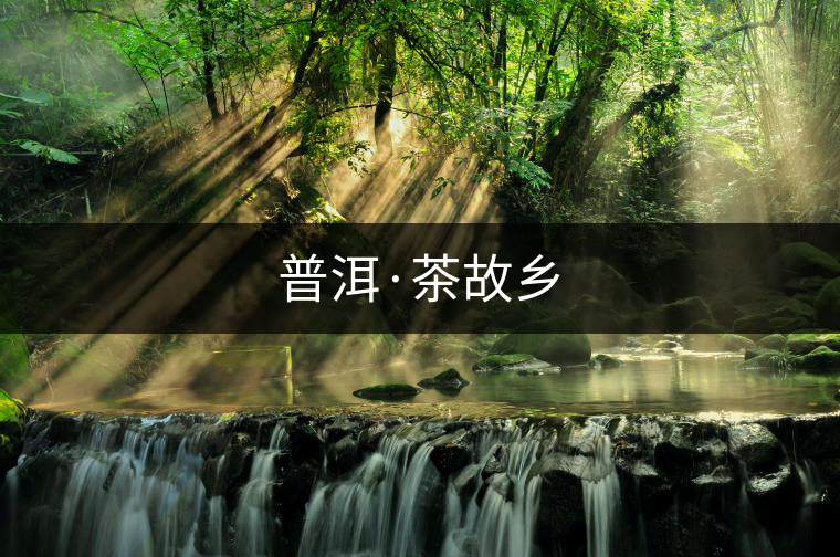 普洱·茶故鄉(xiāng) 普洱·茶故鄉(xiāng)