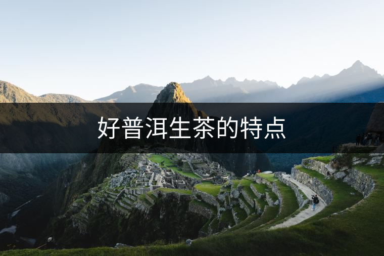 好普洱生茶的特點(diǎn)