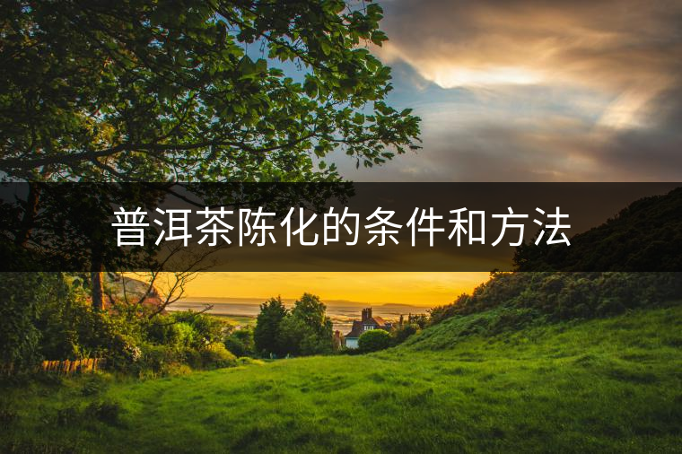 普洱茶陳化的條件和方法