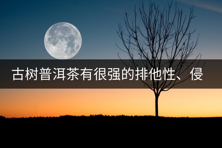 古樹普洱茶有很強的排他性、侵略性、吸納性