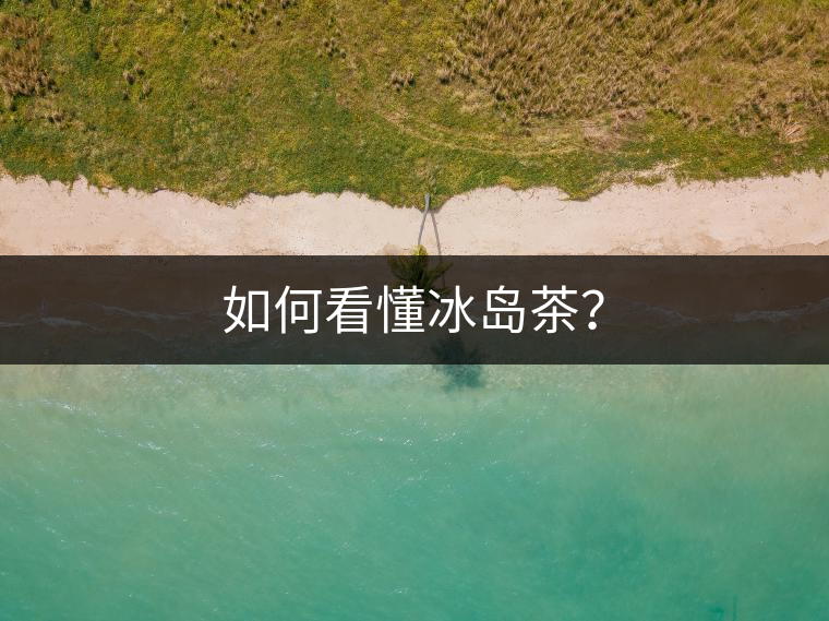 如何看懂冰島茶？