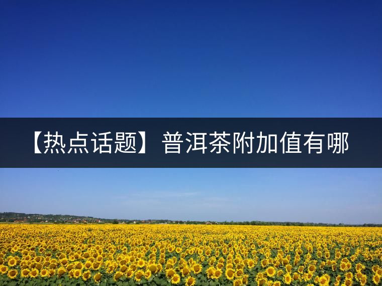 【熱點(diǎn)話題】普洱茶附加值有哪些？