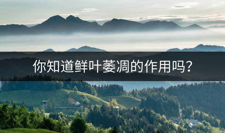 你知道鮮葉萎凋的作用嗎？