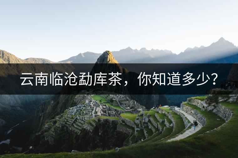 云南臨滄勐庫(kù)茶，你知道多少？