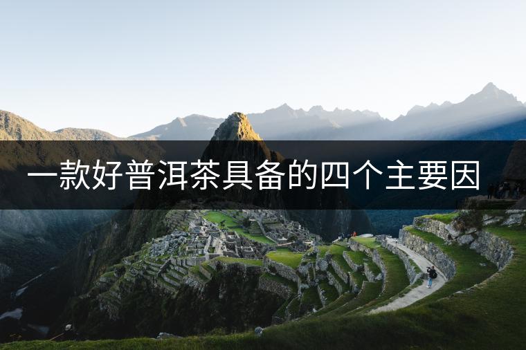 一款好普洱茶具備的四個主要因素