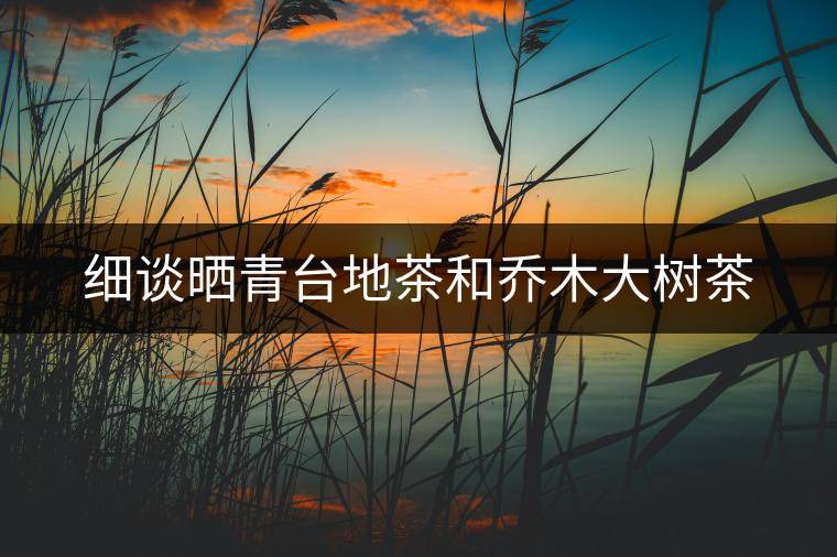 細(xì)談曬青臺地茶和喬木大樹茶 細(xì)談曬青臺地茶和喬木大樹茶