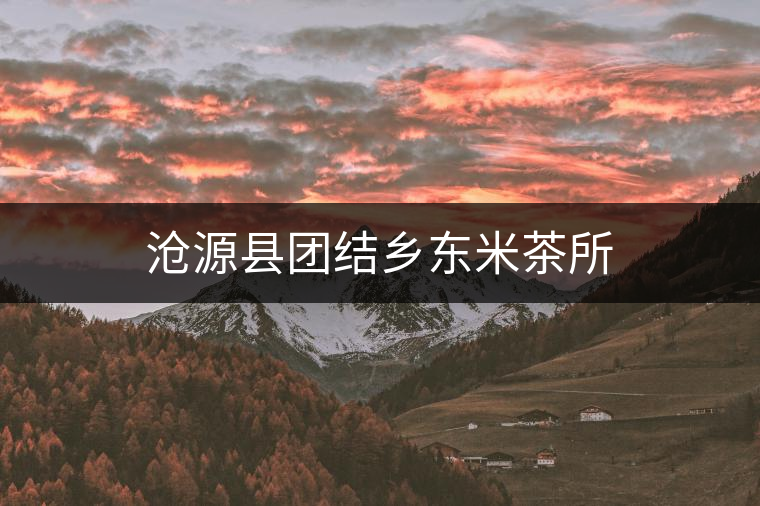 滄源縣團結鄉(xiāng)東米茶所