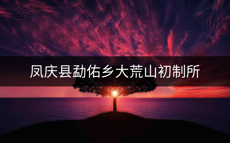 鳳慶縣勐佑鄉(xiāng)大荒山初制所 鳳慶縣勐佑鄉(xiāng)大荒山初制所