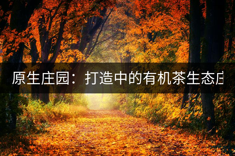 原生莊園:打造中的有機(jī)茶生態(tài)莊園(一) 原生莊園:打造中的有機(jī)茶生態(tài)莊園(一)