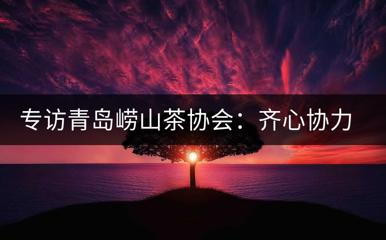 專(zhuān)訪(fǎng)青島嶗山茶協(xié)會(huì)：齊心協(xié)力共謀茶壇盛事