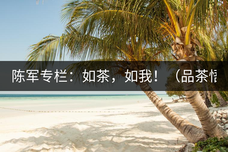 陳軍專欄：如茶，如我！（品茶悟道）