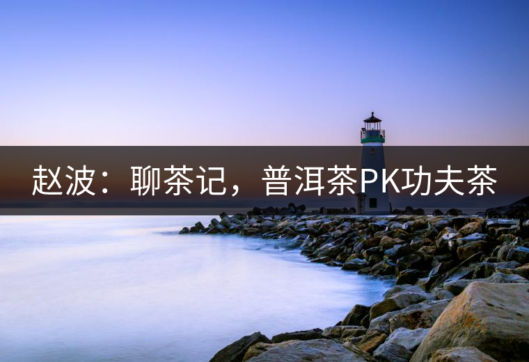 趙波：聊茶記，普洱茶PK功夫茶