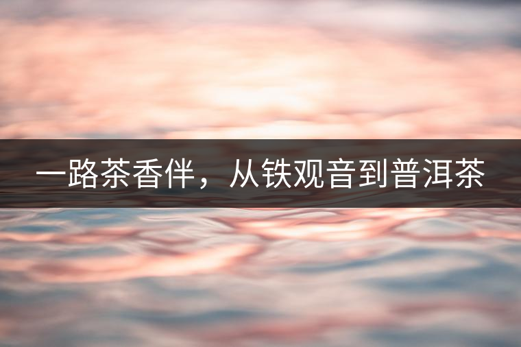 一路茶香伴，從鐵觀音到普洱茶