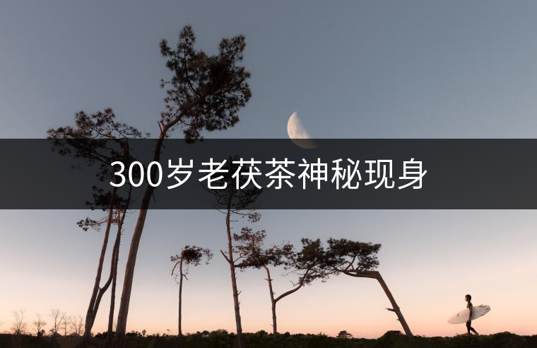 300歲老茯茶神秘現(xiàn)身