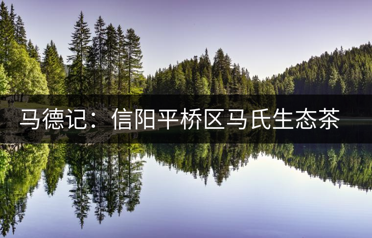 馬德記:信陽平橋區(qū)馬氏生態(tài)茶葉合作社負責人 馬德記:信陽平橋區(qū)馬氏生態(tài)茶葉合作社負責人