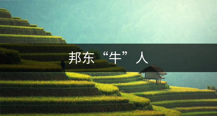 邦東“牛”人