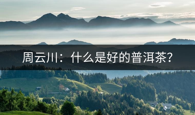周云川：什么是好的普洱茶？