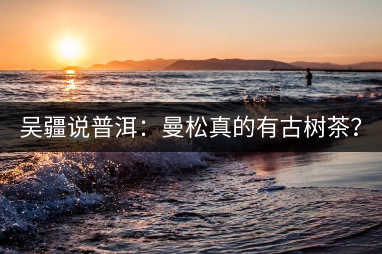 吳疆說普洱：曼松真的有古樹茶？