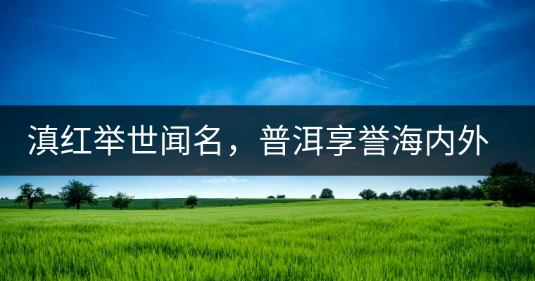滇紅舉世聞名，普洱享譽海內(nèi)外丨專家座談——虞富蓮