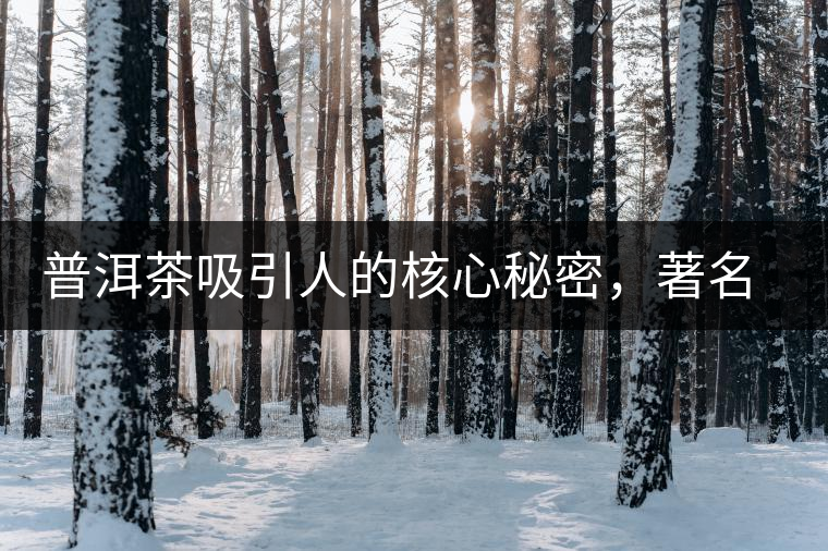 普洱茶吸引人的核心秘密，著名作家余秋雨先生三句話就告訴你