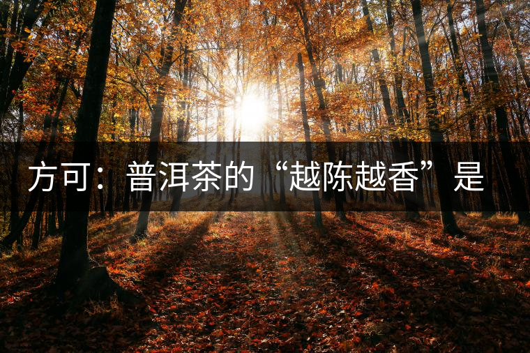 方可：普洱茶的“越陳越香”是有條件、有技術(shù)的