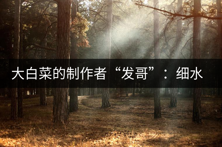大白菜的制作者“發(fā)哥”：細(xì)水長(zhǎng)流，做茶“急不得”