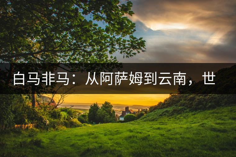 白馬非馬：從阿薩姆到云南，世界茶樹起源爭(zhēng)論的誤區(qū)