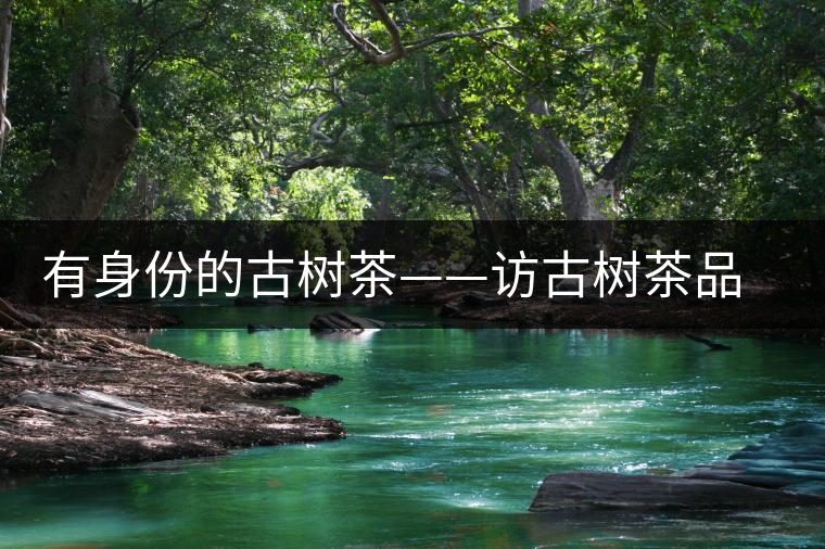 有身份的古樹茶——訪古樹茶品茶人中山市茂名商會(huì)創(chuàng)會(huì)會(huì)長(zhǎng)崔大洪