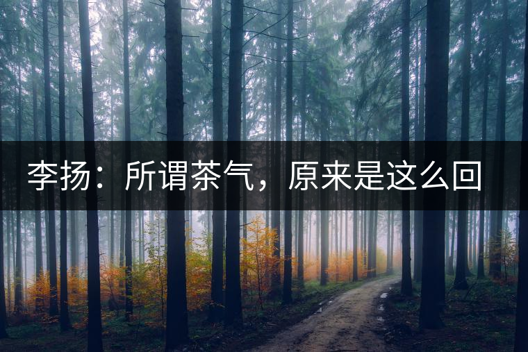 李揚(yáng)：所謂茶氣，原來是這么回事