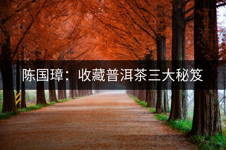 陳國(guó)璋:收藏普洱茶三大秘笈 陳國(guó)璋:收藏普洱茶三大秘笈