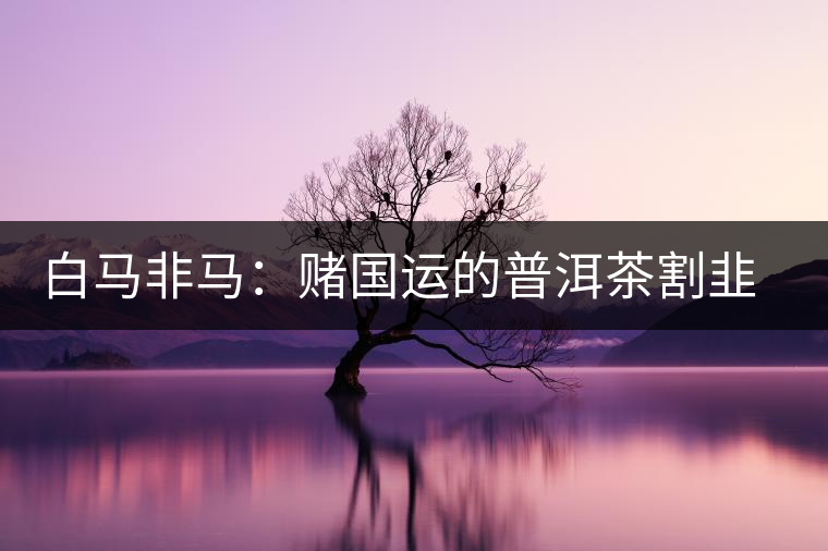 白馬非馬:賭國運(yùn)的普洱茶割韭菜運(yùn)動 白馬非馬:賭國運(yùn)的普洱茶割韭菜運(yùn)動