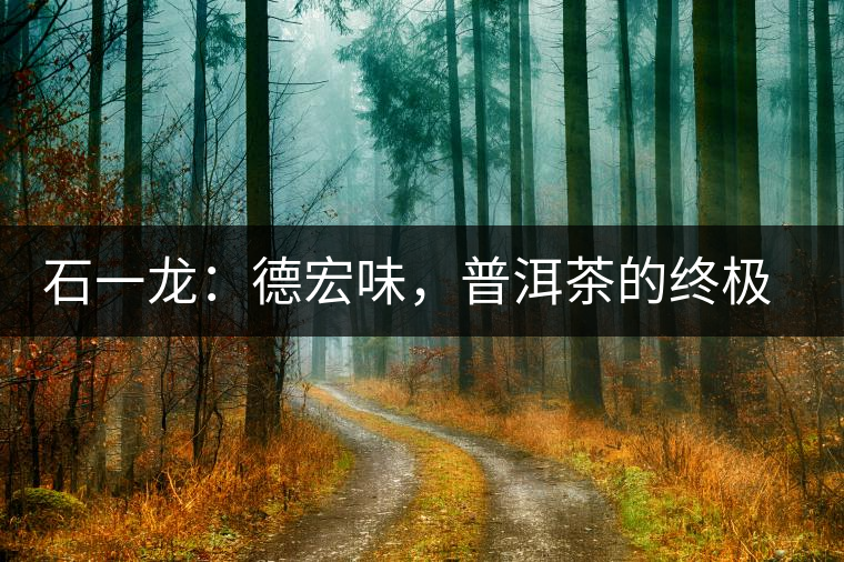 石一龍：德宏味，普洱茶的終極意境
