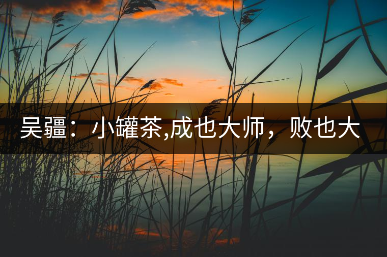 吳疆：小罐茶,成也大師，敗也大師
