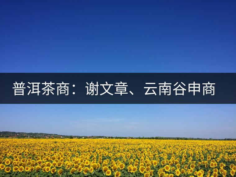 普洱茶商：謝文章、云南谷申商貿(mào)有限公司總經(jīng)理