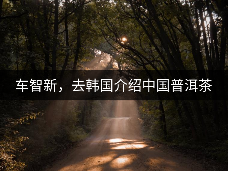 車智新，去韓國介紹中國普洱茶