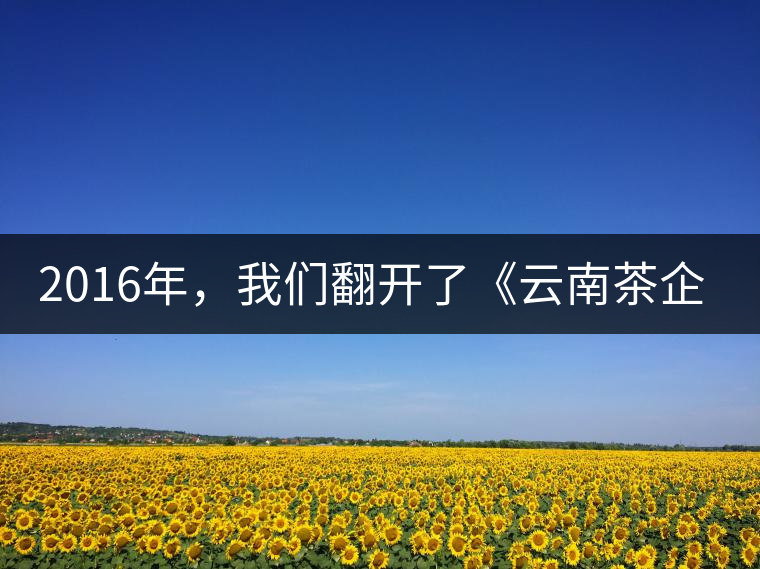 2016年，我們翻開(kāi)了《云南茶企發(fā)展白皮書(shū)》